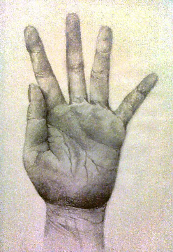 Katarzyna Górowska - Study palm 1