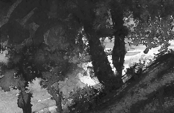 Witold Kubicha - Studium pejzażu - sumi-e