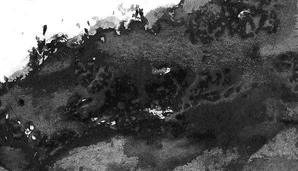 Witold Kubicha - Study of the landscape - sumi-e