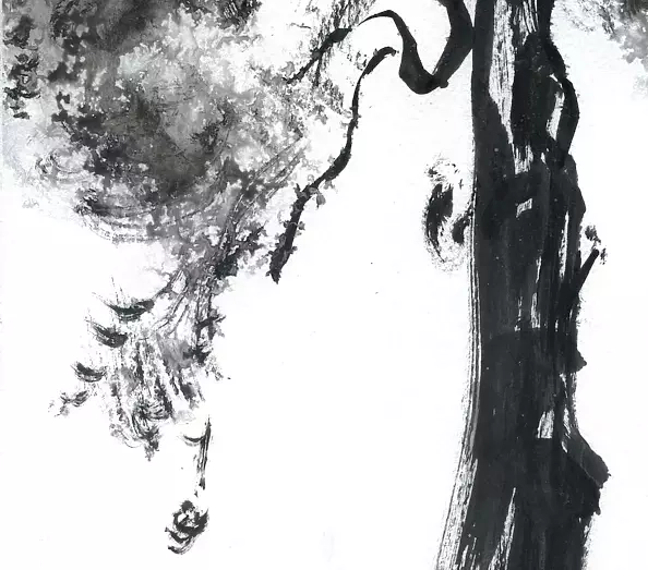 Witold Kubicha - Studium sosny - sumi-e