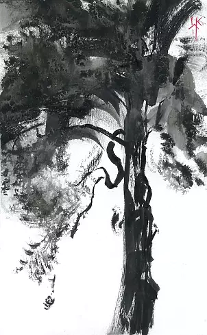 Witold Kubicha - Pine study - sumi-e