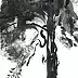 Witold Kubicha - Studium sosny - sumi-e