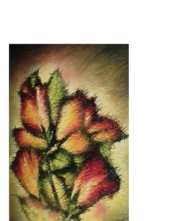 Rafał Jarosz - Subtle roses