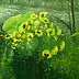 Henryk Radziszewski - Зеленый цвет лета