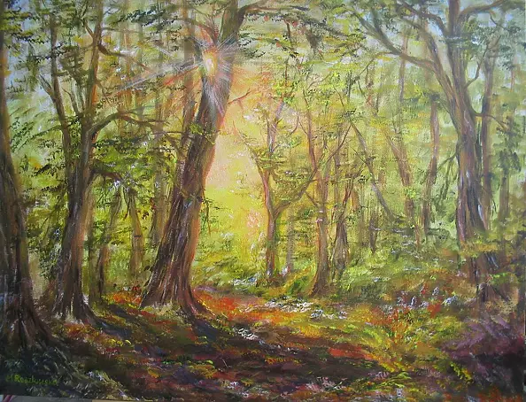 Maria Roszkowska - Słoneczny las