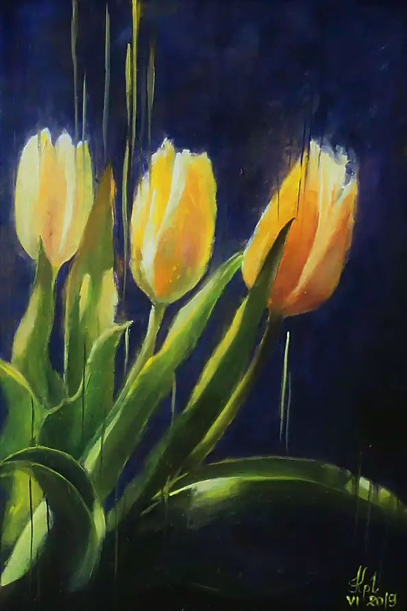 Katarzyna Piotrowska Lass - Soleil dans le noir