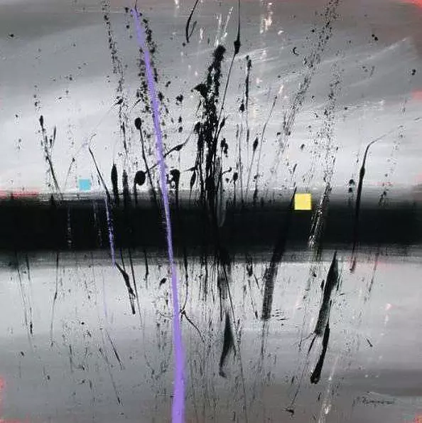 Mario Zampedroni - Swamp 2008