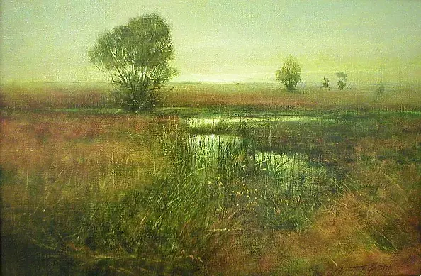Tadeusz Gazda - marshland