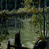 Urszula Nieborak - Swamp world