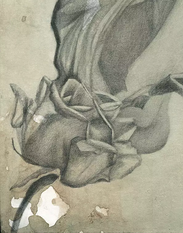 Agnieszka Osak - "Świątynia"