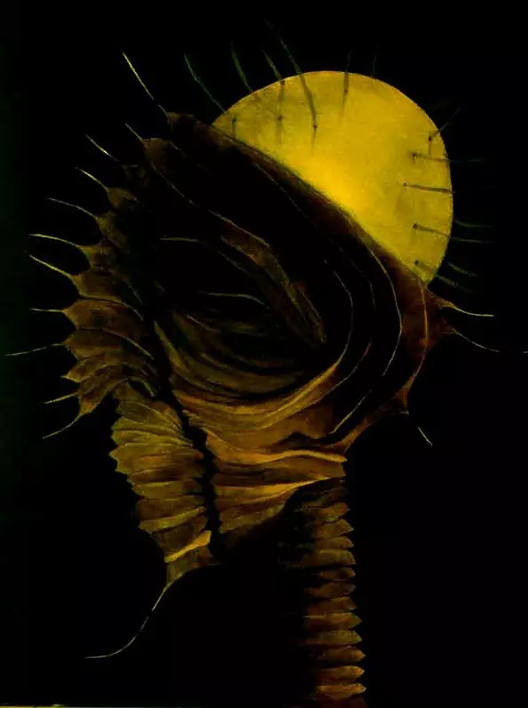 Małgorzata Suwalska - Luminous