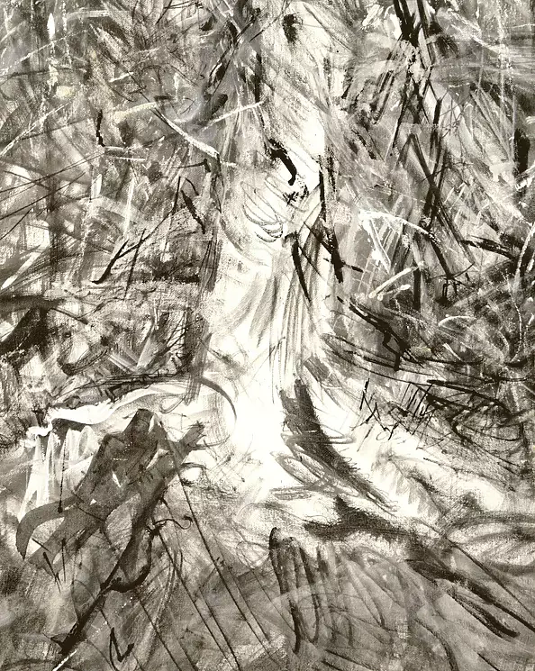 Eryk Maler - Spruce in the sun, tree