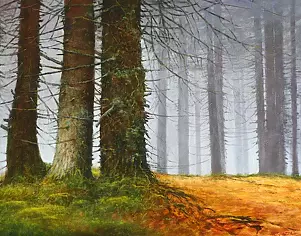   - Spruces in the Tatras