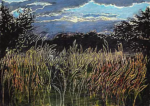 Angelika Mus Nowak - Luminous, evening meadow