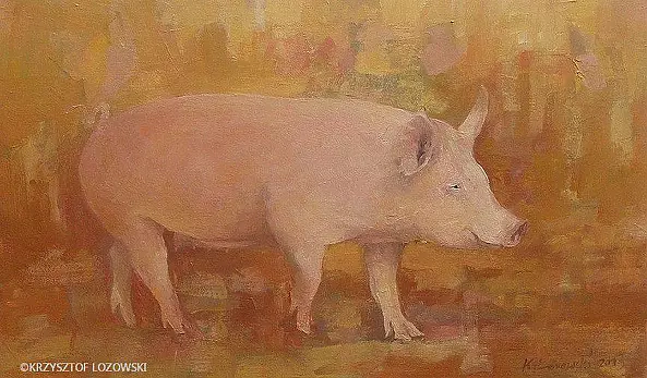 Krzysztof Łozowski - Pig