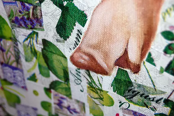 Amelia Augustyn - Świnka