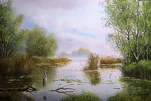 Marek Szczepaniak - Dawn on the backwaters