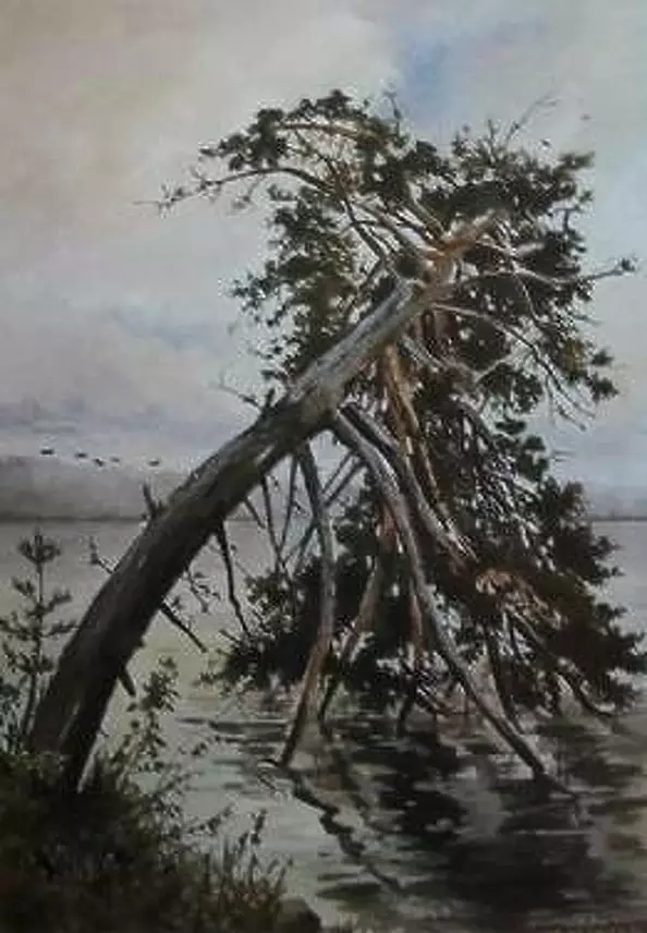 Jacek Stryjewski - Świteź