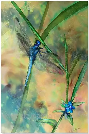 Joanna Magdalena - Synchronicity