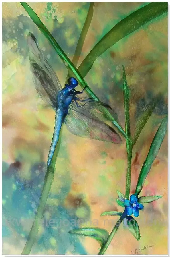 Joanna Magdalena - Synchronicity