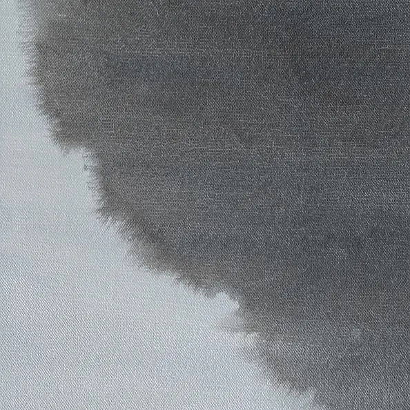 Maja Gajewska - Synergy 1