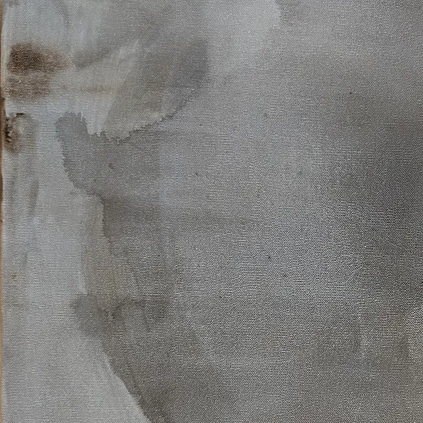 Maja Gajewska - Synergy 2