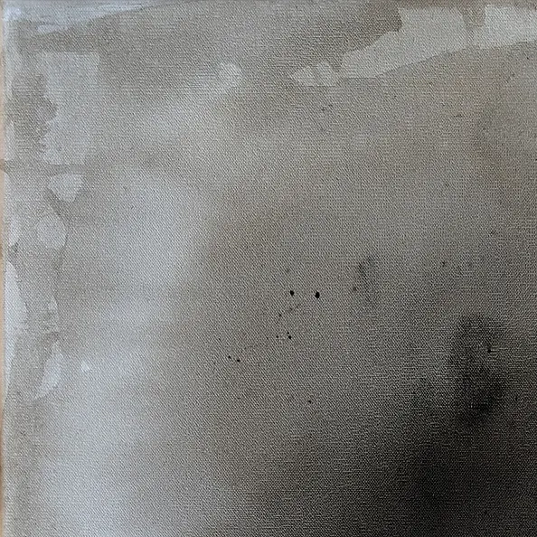 Maja Gajewska - Synergia 6