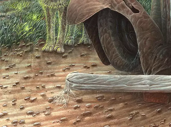 Krzysztof Polaczenko - Shaman 2021