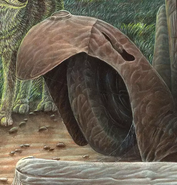 Krzysztof Polaczenko - Shaman 2021