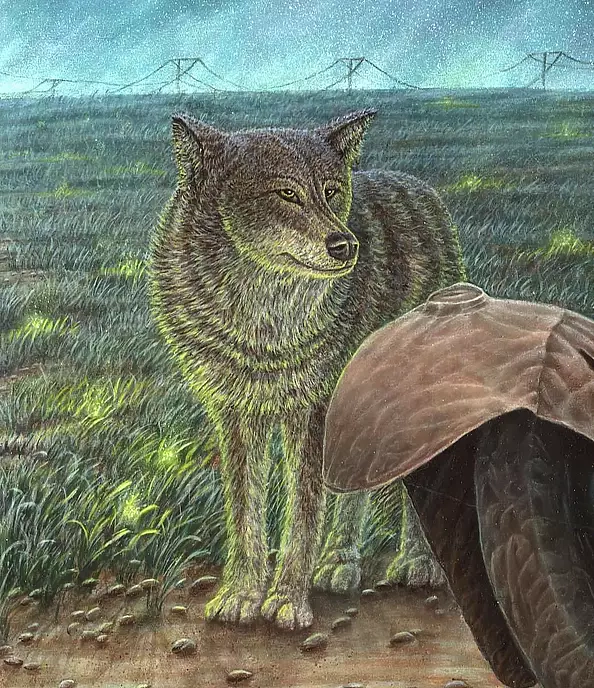 Krzysztof Polaczenko - Shaman 2021