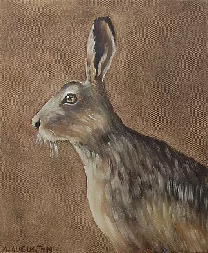 Amelia Augustyn - Hare