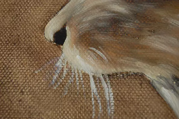 Amelia Augustyn - Szarak