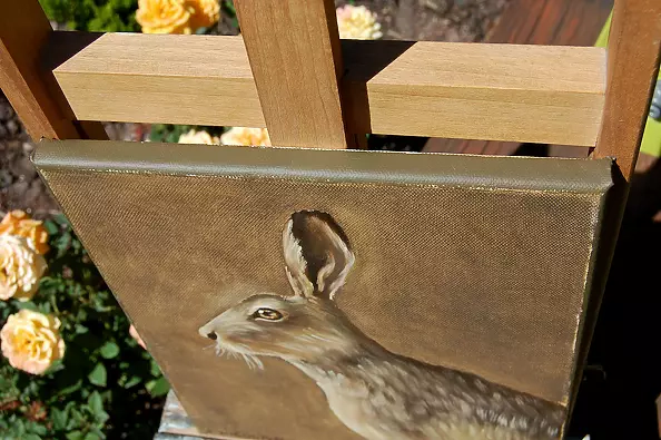 Amelia Augustyn - Szarak