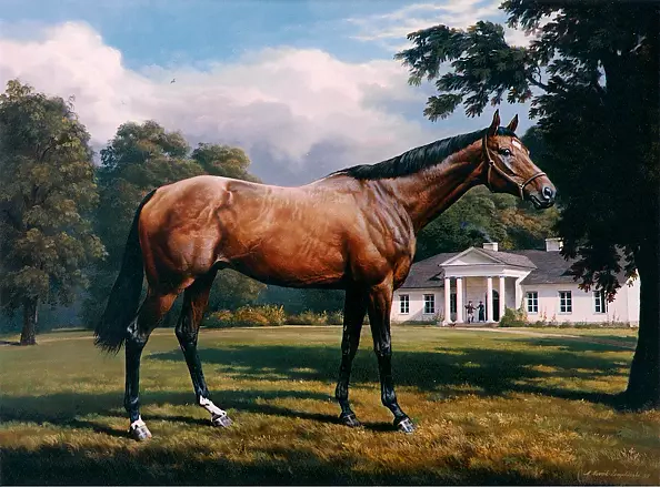 Andrzej Novak-Zemplinski - Quack, thoroughbred stallion