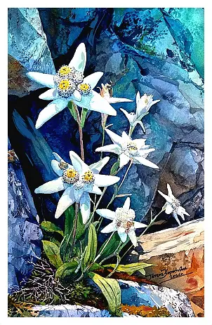 Teresa Kopańska - "Szarotka, Biała Legenda"