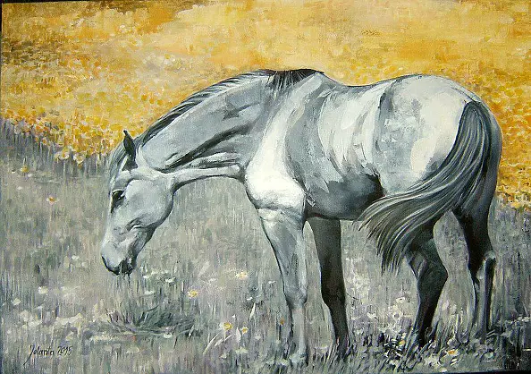 Jolanta Kalopsidiotis - gray horse