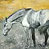 Jolanta Kalopsidiotis - cheval gris
