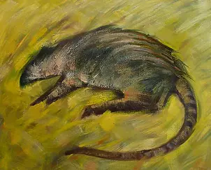 Andrzej Zujewicz - Rat