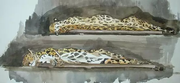 Sonia Pajgert - Draft "Dream"