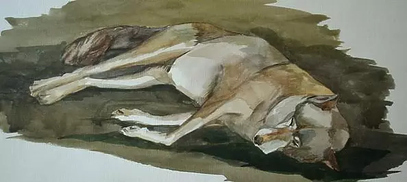 Sonia Pajgert - Szkic " Sen"