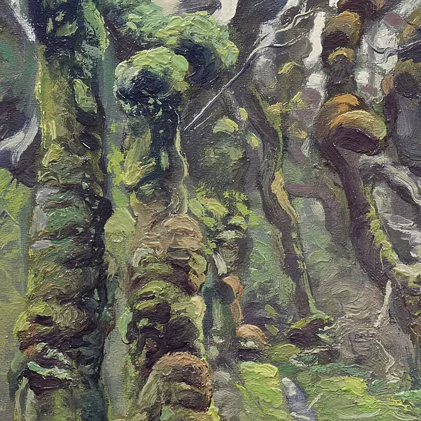 Wojciech Pater - Te Araroa trail in the Longwood Forest