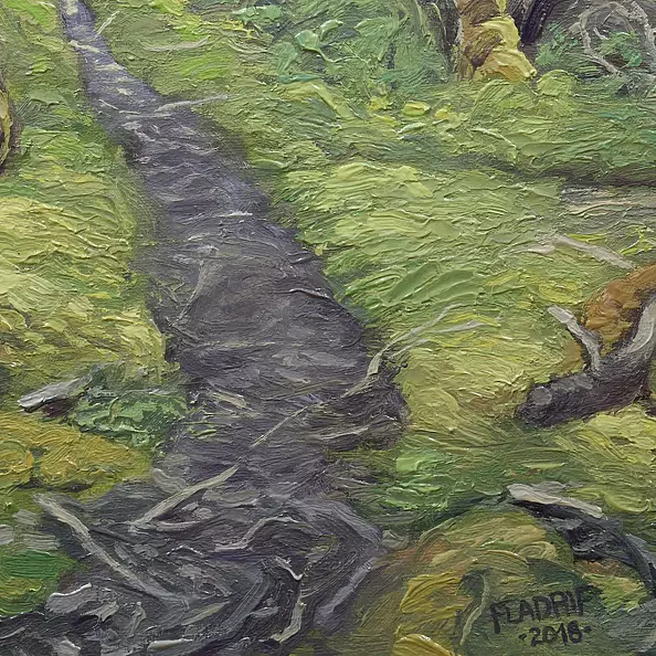 Wojciech Pater - Te Araroa trail in the Longwood Forest