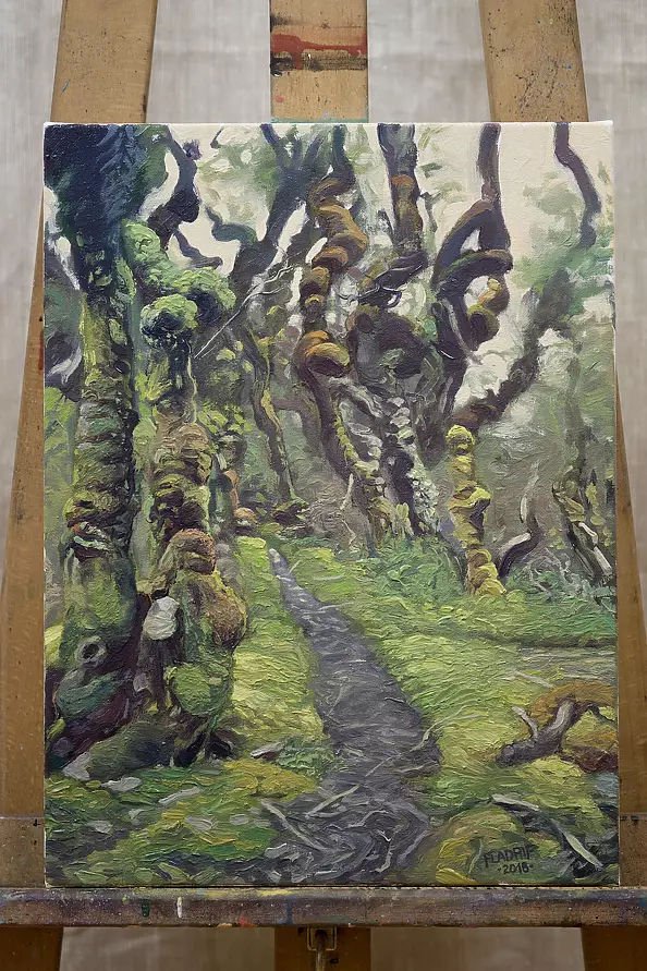 Wojciech Pater - Te Araroa trail in the Longwood Forest