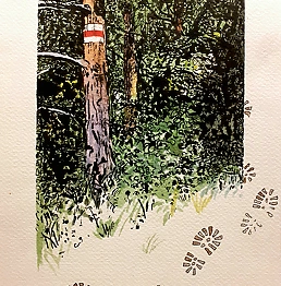 Rafał Czwichocki - Trail