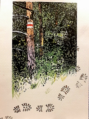 Rafał Czwichocki - Trail