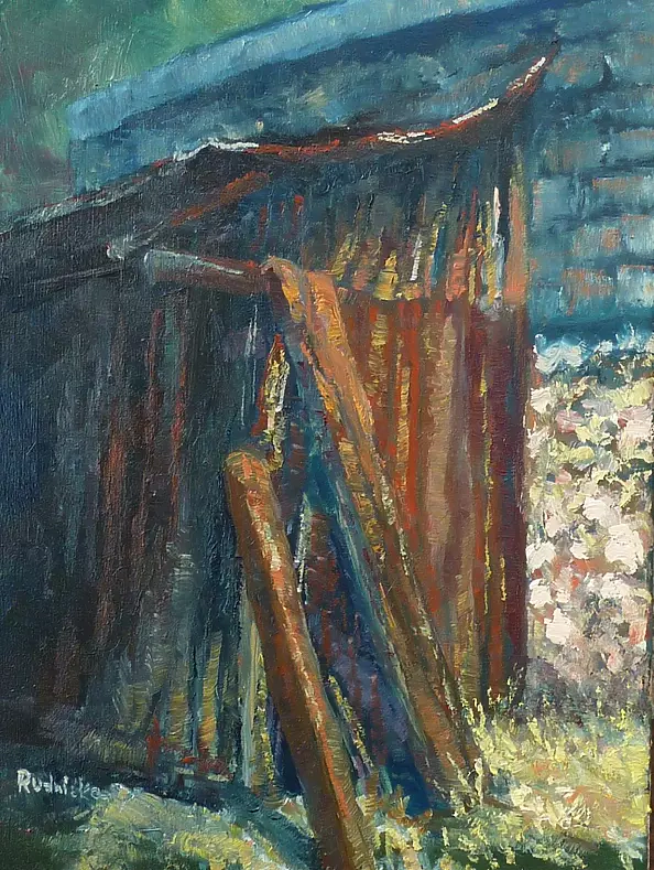 Anna Rudnicka-Litwinek - Shed