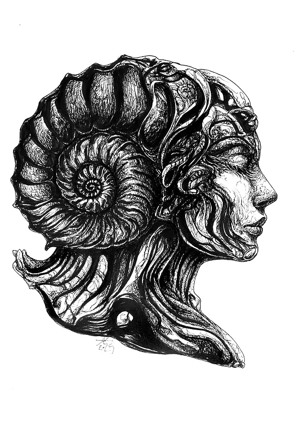 Krzysztof Krawiec - Szum oceanu Paua  *rysunek piórkiem