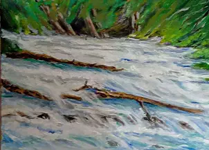 Helga Maria RADOCHOŃSKA - Szumy of the Roztoczański National Park