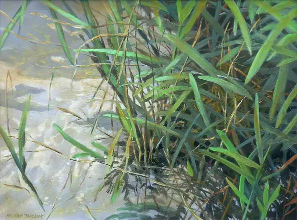 Michał Janczuk - Szuwary