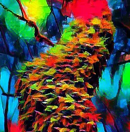 Robert Żurman - TERRA (Ex.5)